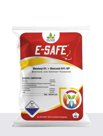  E-Safe  