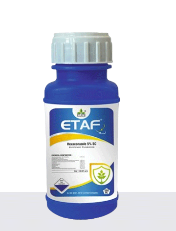 ETAF