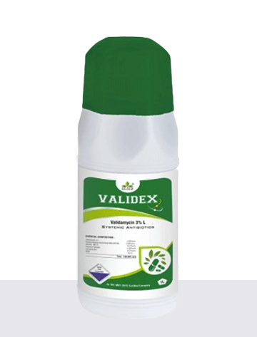 Validax