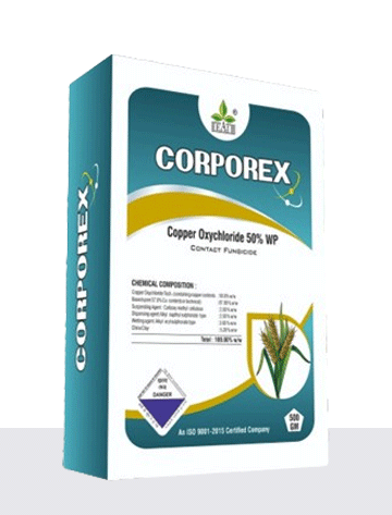 Corporex